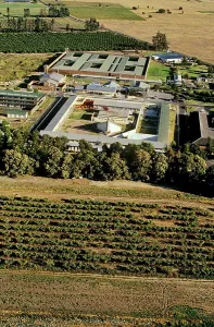 Vineyard Prints: Groot Drakenstein Prison - last place in which Nelson Mandela was incarcerated