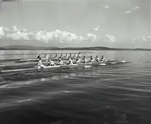 Effort Prints: Group of men rowing rowboats in a sweep rowing race, Lake Washington, Washington, USA