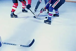 Skate Prints: Group of people at an ice hockey game