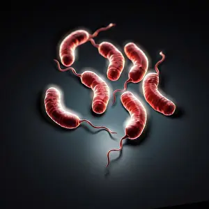 Threat Prints: Group of vibrio cholerae bacteria which causes cholera