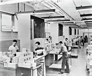 Manual Worker Prints: Group of workers in a factory