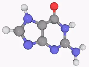 Matter Prints: Guanine, molecular model. One of the four main nucleobases found in DNA and RNA