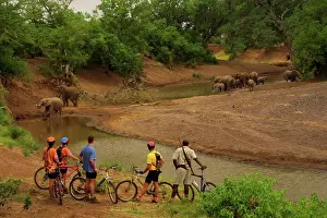 Vista Prints: Guests on Mountain Biking trip watching elephant