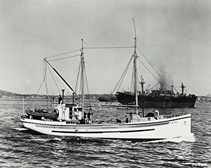 Beam Prints: Halibut fishing schooner Eagle operating in the North Pacific out of Seattle