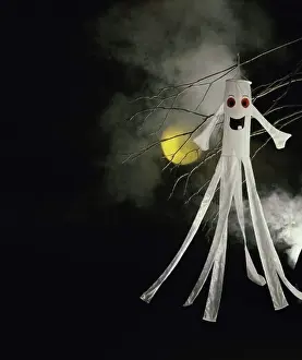 Facial Expression Prints: Halloween decoration hanging from a tree