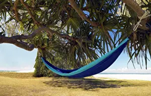 Shade Prints: Hammock hanging under tropical tree at beach