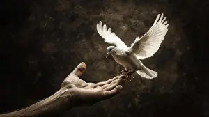 Faith Prints: A hand holding a white dove, White Dove Release, Concept of peace and hope and freedom