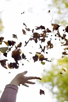 Gleeful Prints: A hand throwing leaves in the air, Sweden