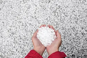 Storm Prints: Two hands hold a hand full of hailstones