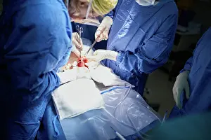 Doctors Prints: Hands, surgeon and team for operation at hospital in emergency room