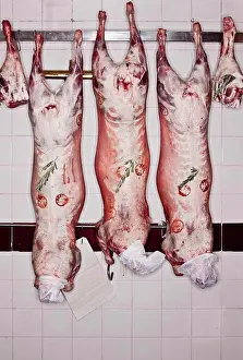 Hanging lamb carcasses in butchers shop