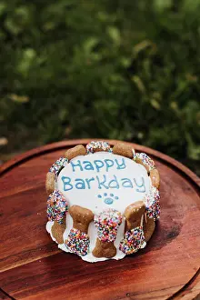 Tableware Prints: Happy Barkday cake for dog outside on cake stand in the summer
