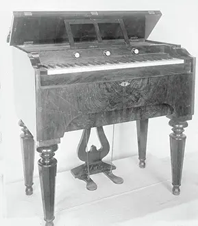 Brass Prints: Harmonium mid-19th century F
