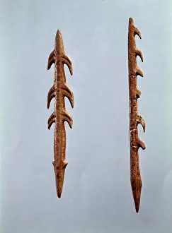 Threats Prints: Two Harpoons Prehistoric Art Museum of National Antiquities, Saint-Germain-En--