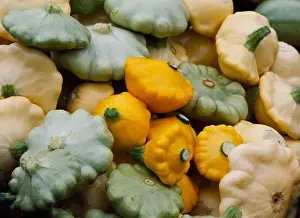 Vegetables Prints: Harvest of Alaska Grown Scallopini or Patty Pan summer squshies