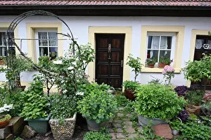 Blumen Prints: Haus in Dilsberg Haus in Dilsberg