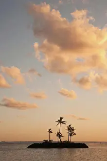 Silhouetted Prints: Hawaii, Kahala, Small island