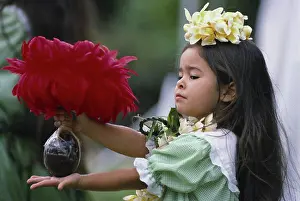 Concentrate Prints: Hawaii, Keiki Hula, little girl performing with uliuli