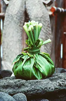 Polynesian Prints: Hawaii, Traditional Ho´okupu, gift, offering, wrapped in Ti leaves