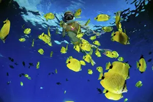 Gear Prints: Hawaii, Young girl snorkels at surface, butterflyfish, blue ocean