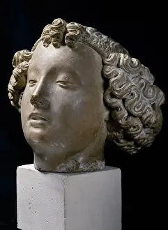 Medium Length Hair Prints: Head of an Angel, sculpture, France, Paris, Musee de la Ville de Paris