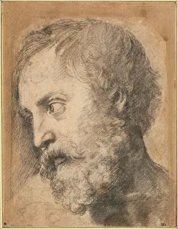 Italy Prints: Head of An Apostle (Study for 'Transfiguration') by Raphael (1483-1520) / Albertina