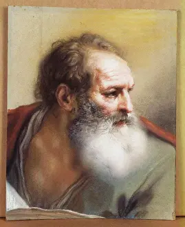 Elder Prints: The Head of a Bearded Man looking down to the Right