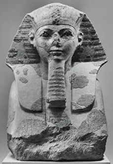 Museums Prints: Head and Shoulders of a Sphinx of Hatshepsut ca