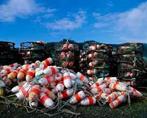 Heap Prints: Heap of lobster buoys