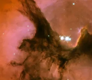 Cluster Prints: The Heart of a Nebula