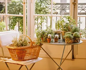 Baskets Prints: Heather in basket on chair and green houseplants in pots table in front of window
