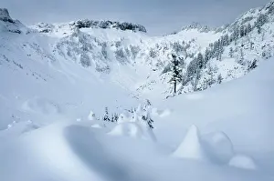 Pacific Northwest Prints: Heather Meadows Recreation Area, North Cascades, Washington State
