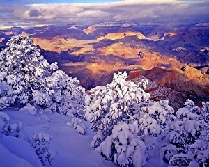 Giant Prints: Heavy snow at Yaki Point South Rim Colorado River below Grand Canyon National Park Arizona