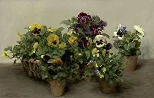 Henri Fantin Latour, Pansies, 1874 Pansies