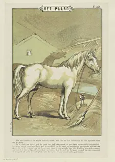 : Het Paard, 1894 - 1959 print Leaf with a large representation of two horses in a stable