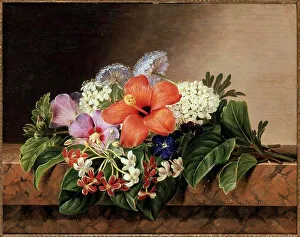 Hibiscus Prints: Hibiscus, Mallows, Tibouchina And Jasmine On A Marble Ledge S