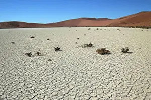 Dried Prints: Hidden Vlei, salt and clay pan