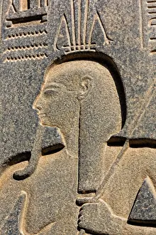Human Representation Prints: Hieroglyphs at the Luxor temple in Egypt