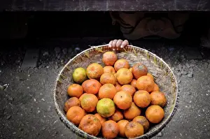 South East Asia Prints: High angle close up of basket of orange citrus fruits in Myanmar
