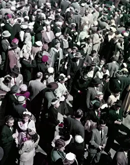 Large Group Of People Prints: High angle view of crowded street