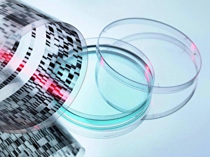 Glass Material Prints: High angle view of curled DNA sequencing gel and petri dish