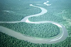 Brazil Prints: High angle view of a river, Amazon River, Amazon Jungle, Brazil