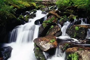 Creek Prints: High angle view of a stream flowing through rocks