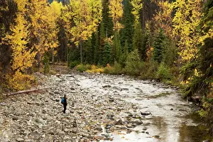 Creek Prints: A hiker walks towards a creek in E.C. Manning Provincial Park