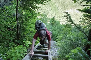 Unitedstates Prints: Hikers climbing a trail ladder along Six Husbands Trail in the White Mountains