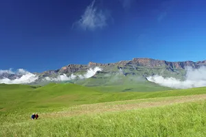 Drakensberg Prints: Hikers with Eland (Taurotragus oryx) herd with Drakensberg in background