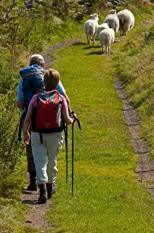 Sports Clothing Prints: Hikers above Rowen, Snowdonia National Park, Wales, UK