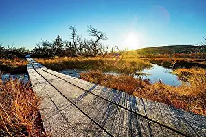 Natural Preserve Prints: Hiking trail on the plateau in Fulufjaellet National Park