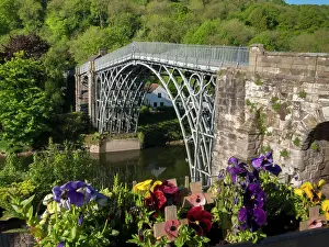 Flower Head Prints: Historic Iron Bridge by Abraham Darby III