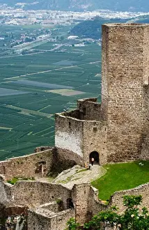 Viticulture Prints: Hocheppan castle, Appiano on the wine route, Bozen, Alto Adige, South Tyrol, Italy